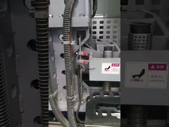 Chaîne de production de tortilla